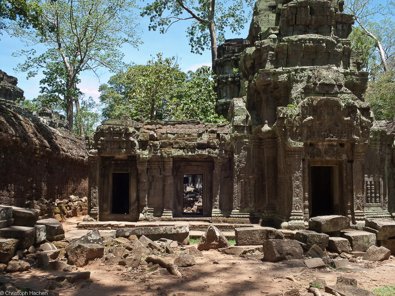 Cambodia - Ta Prohm