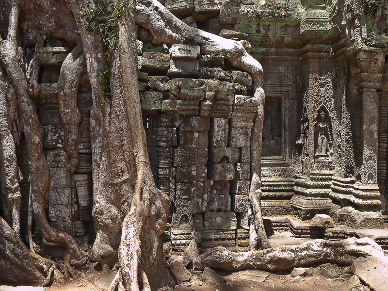 Cambodia - Ta Prohm