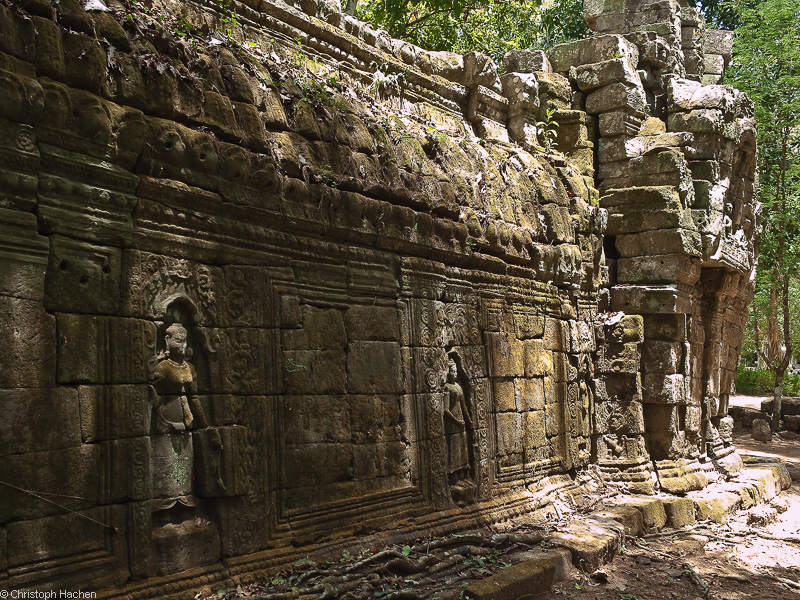 Cambodia - Ta Prohm