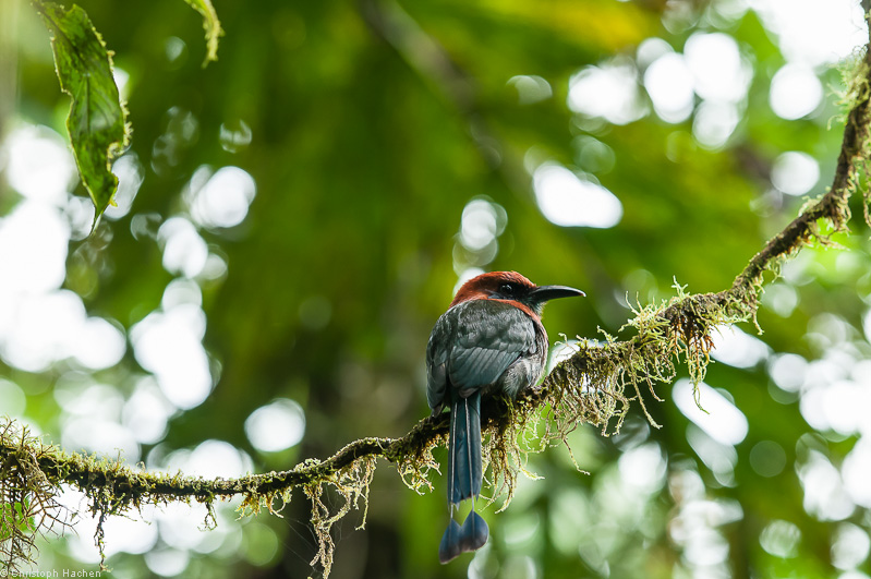Costa Rica - Arenal
