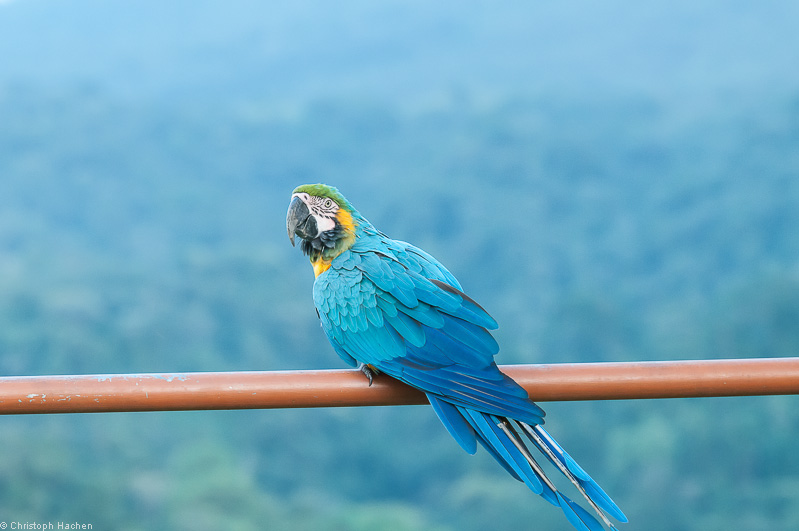 Costa Rica - Arenal