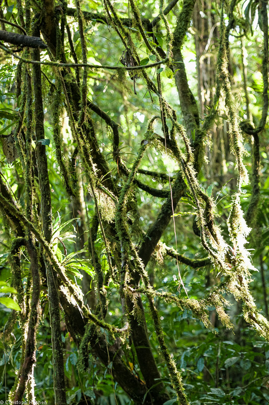 Costa Rica - Arenal