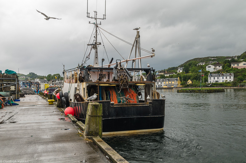 Scotland - Argyll & Bute - Tarbert