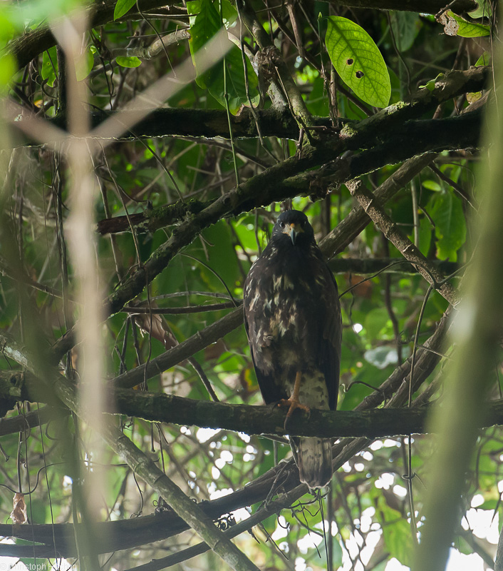 Costa Rica - Parque Nacional Corcovado