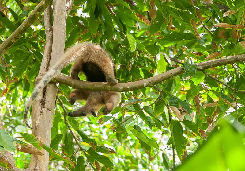 Costa Rica - Parque Nacional Corcovado