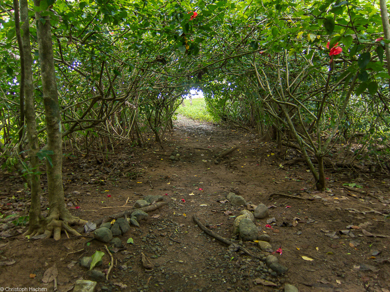 Costa Rica - Playa Corcovado