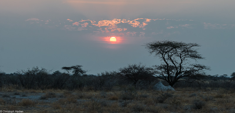Namibia - Etosha