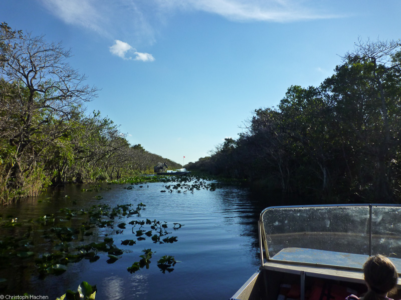 Everglades, Florida, USA