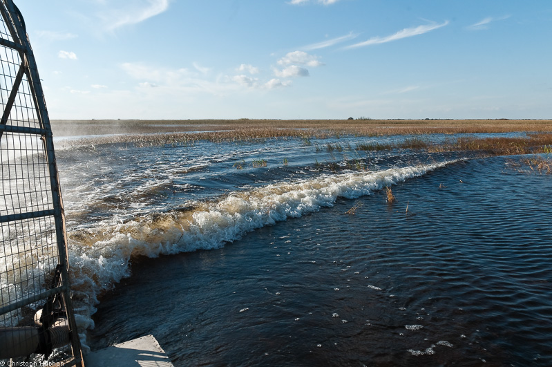 Everglades, Florida, USA