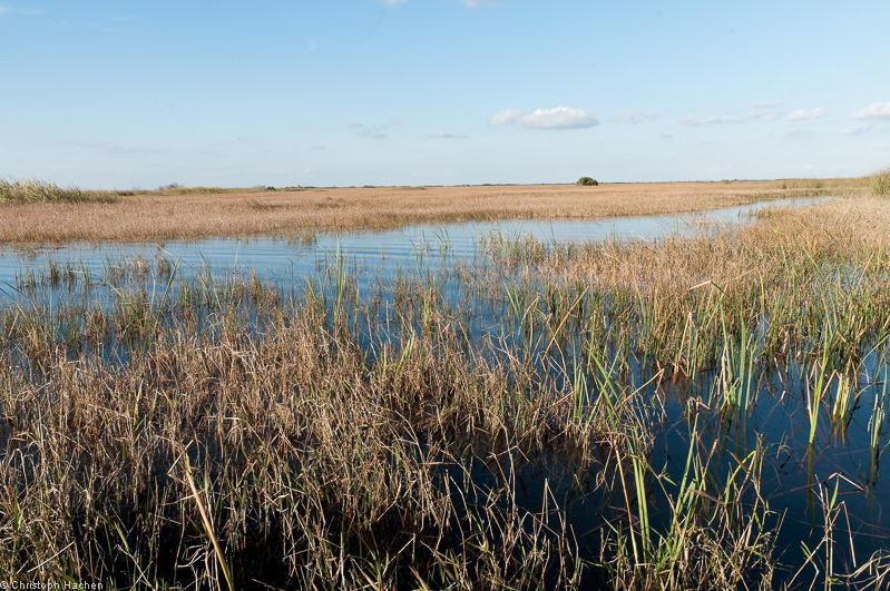 Everglades, Florida, USA