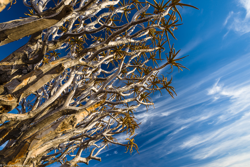 Namibia - Fish River Canyon