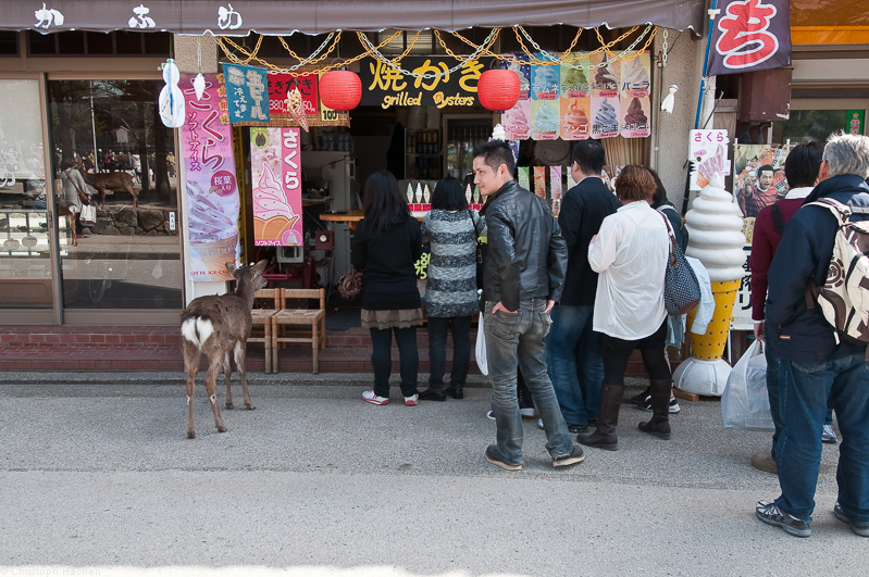 Japan - Hiroshima - Miyajima