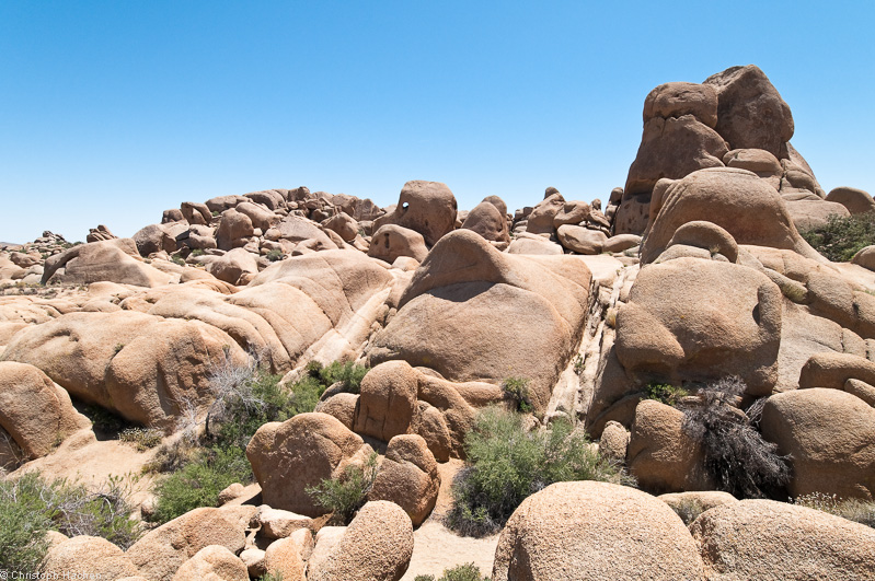 Southwest US 2 - California - Joshua Tree