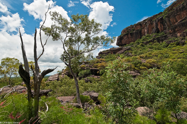Australia - Kakadu National Park