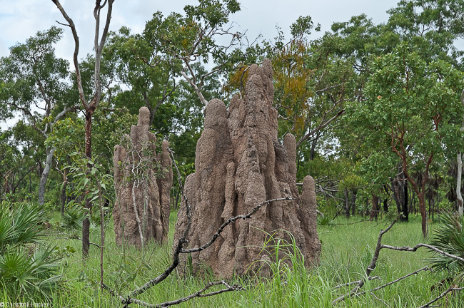 Australia - Kakadu National Park