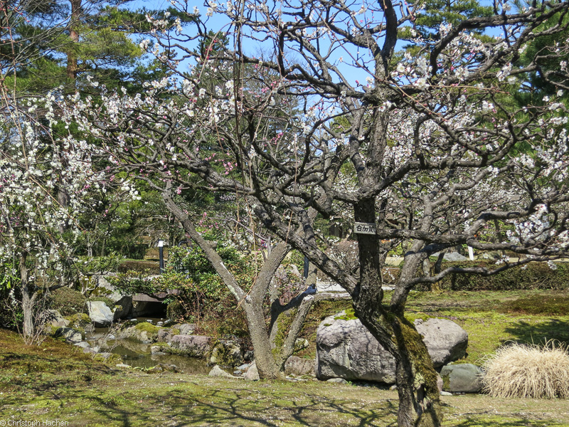 Japan - Kanazawa