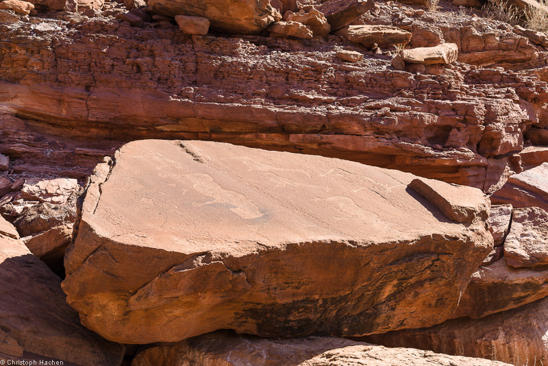 Namibia - Damaraland - Twyfelfontein