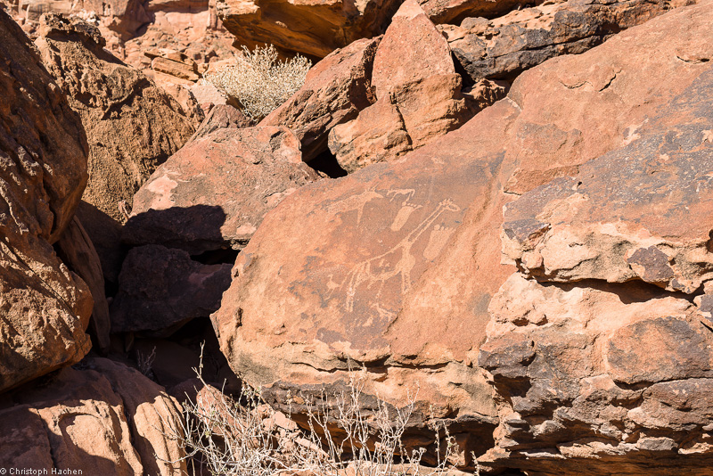 Namibia - Damaraland - Twyfelfontein