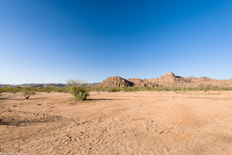 Namibia - Damaraland - Twyfelfontein