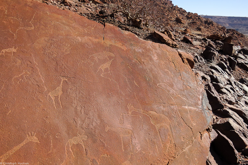Namibia - Damaraland - Twyfelfontein