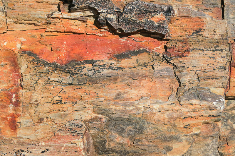Namibia - Damaraland - Petrified Forest