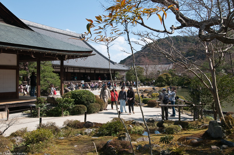 Japan - Kyoto - Arashiyama