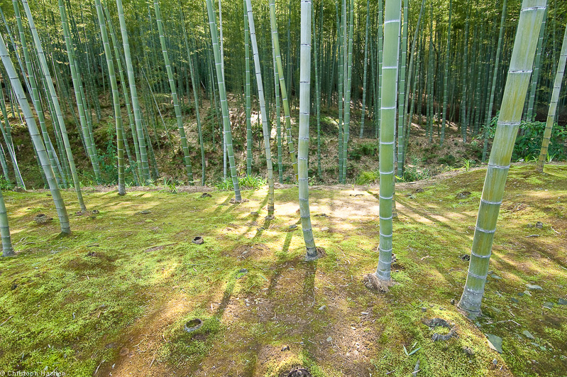 Japan - Kyoto - Arashiyama