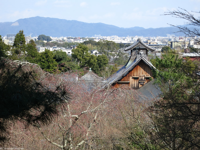 Japan - Kyoto - Arashiyama