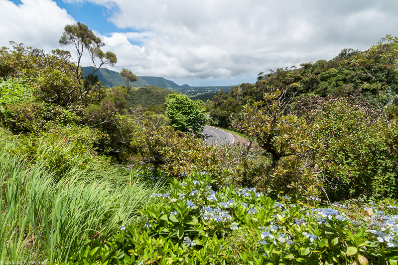 La Réunion(FR) - Plaine des Palmistes