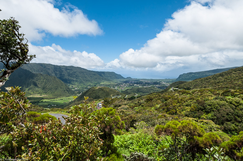 La Réunion(FR) - Plaine des Palmistes