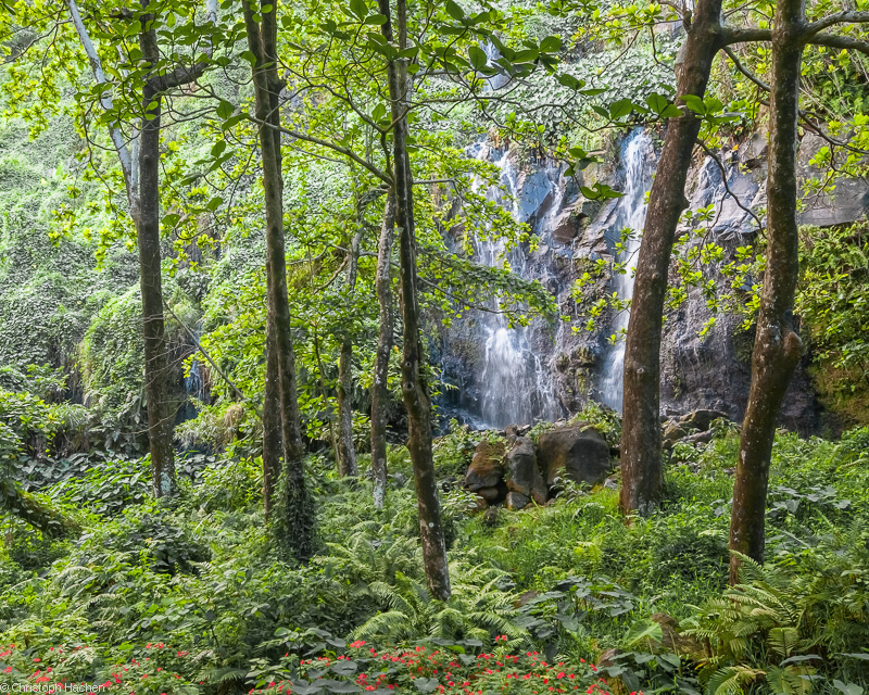 La Réunion(FR) - Anse des Cascades