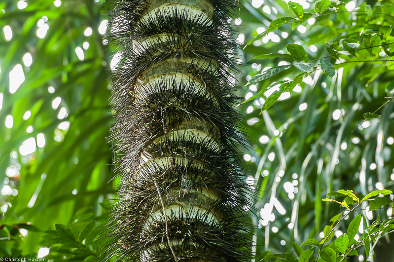 Costa Rica - Parque Nacional Manuel Antonio