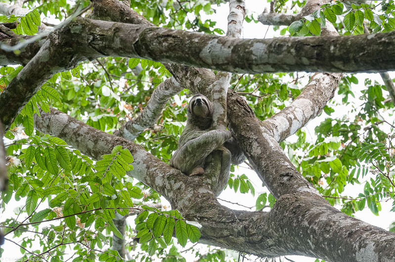 Costa Rica - Parque Nacional Manuel Antonio