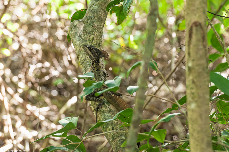 Costa Rica - Parque Nacional Manuel Antonio