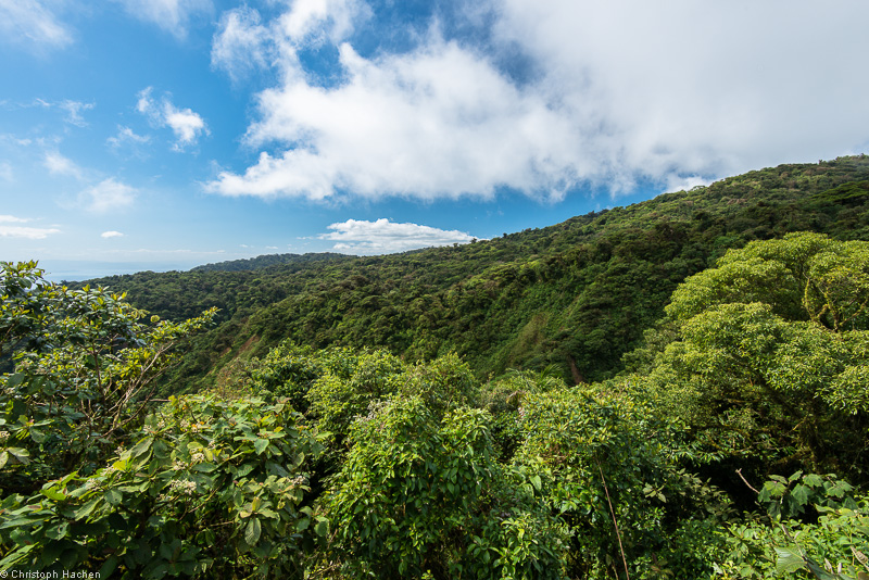 Costa Rica - Monteverde