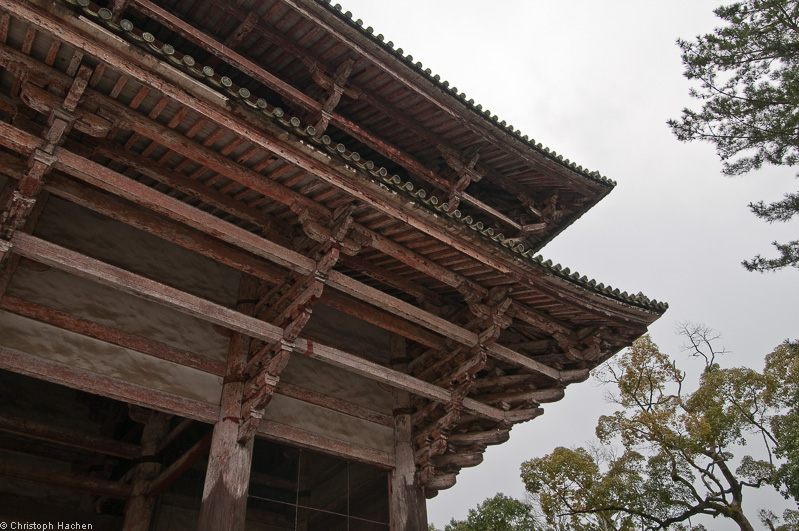Japan - Nara