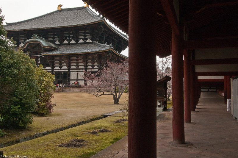Japan - Nara - Tōdai-ji