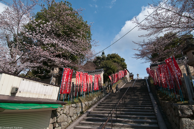Japan - Nara