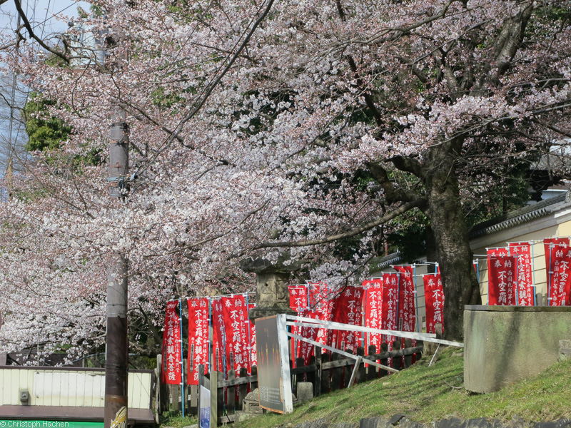 Japan - Nara