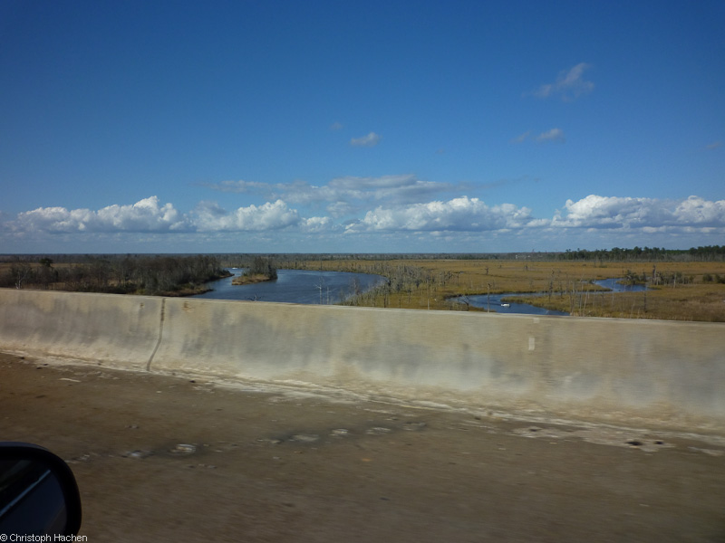 Florida & New Orleans - New Orleans