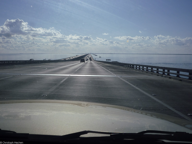 Florida & New Orleans - New Orleans