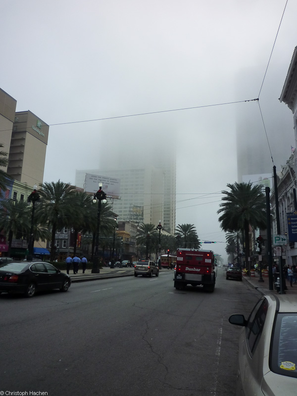 Florida & New Orleans - New Orleans