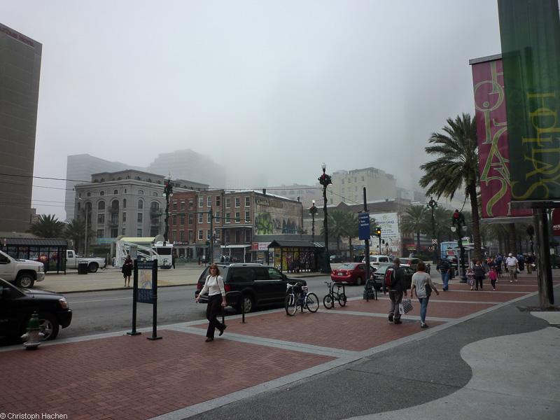 Florida & New Orleans - New Orleans