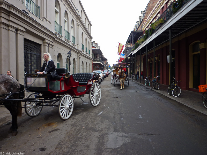Florida & New Orleans - New Orleans