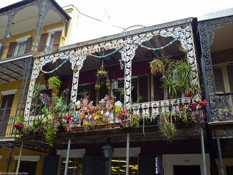 Florida & New Orleans - New Orleans