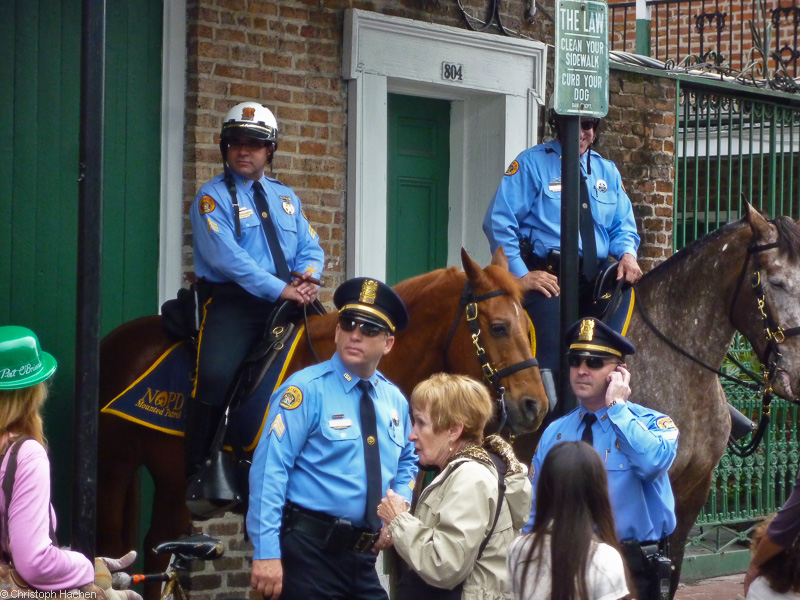 Florida & New Orleans - New Orleans