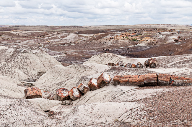 Southwest US 2 - Arizona - Petrified Forest