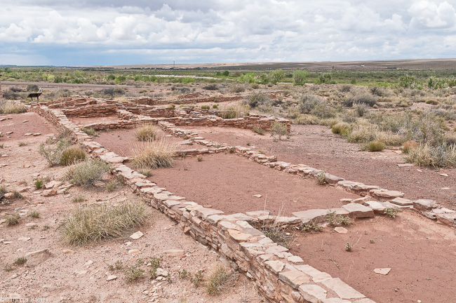 Southwest US 2 - Arizona - Petrified Forest