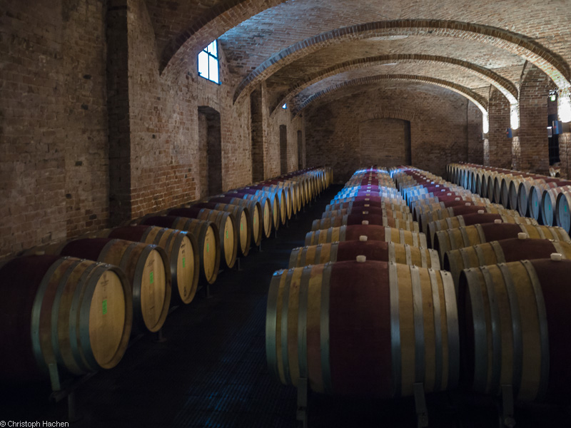 Italia - Piemont - Langhe