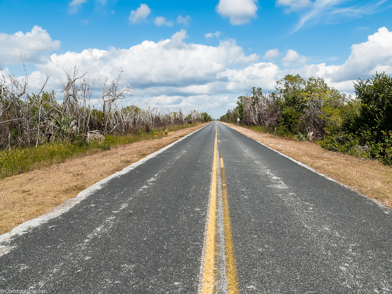 Roads #1 1: Florida, USA